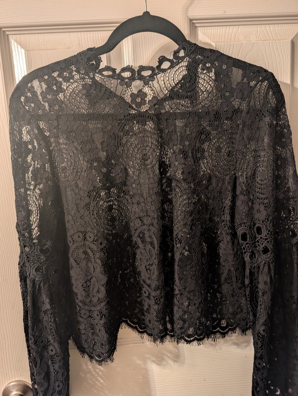 ASTRID Sheer black Lace Long Sleeve Crop Blouse